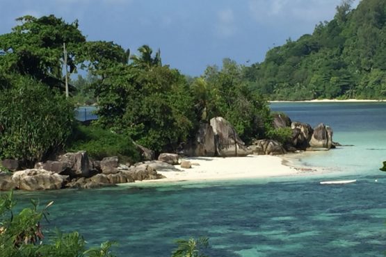 Contrat de collaboration