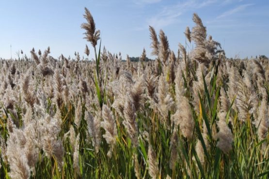 Lancement maison d’hôtes