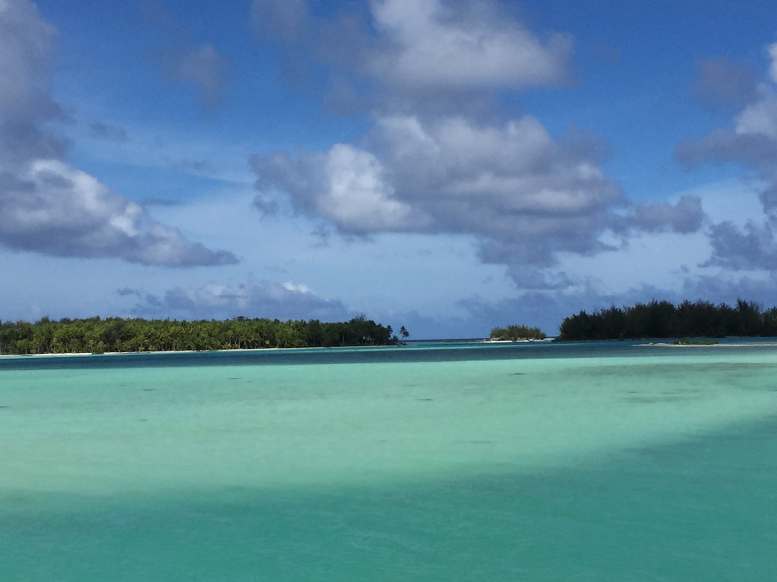 FORMATION POLYNESIE MARCHE FRANCE