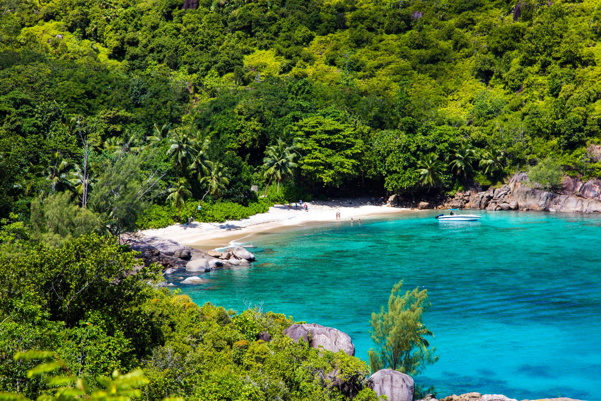 OUVERTURE DES SEYCHELLES !