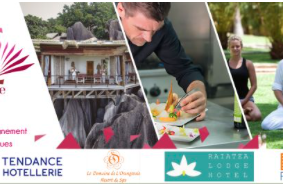 Essentialisme et Wellness Essentialisme et Wellness