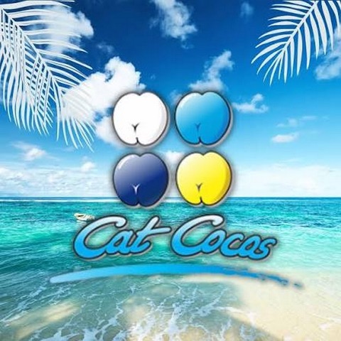 cat coco
